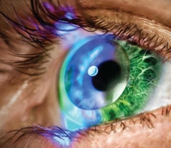 blog/innovega-s-emacula-system-addresses-growing-number-of-myopia-cases-worldwide.htm