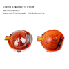 New High Quality Biology 6 Times Human Eyeball Model Giant Eye Model Human Eye Anatomy for Science Teaching Medical Model