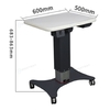 High Quality Optical Instrument Motorized Lift Table WZ-3Z Small Lifting Table